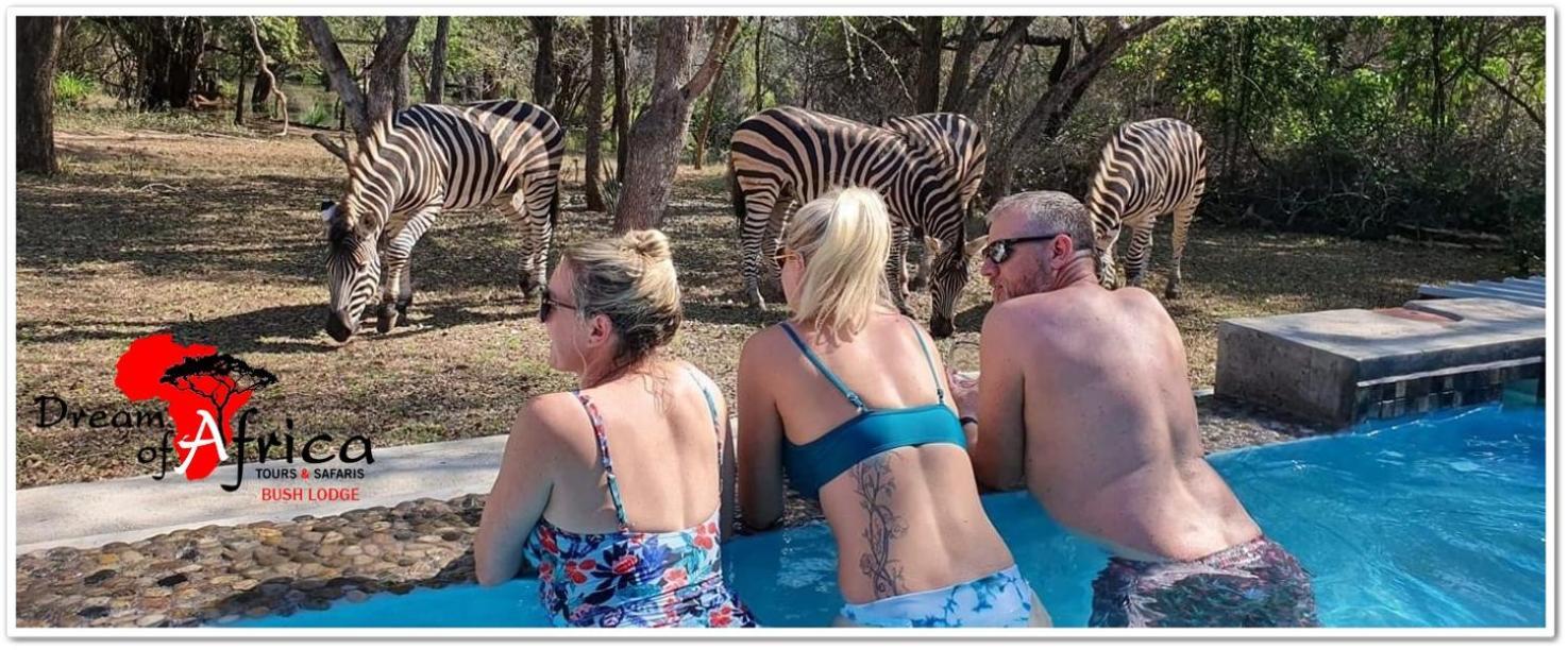 Dream Of Africa Bush Lodge Marloth Park Dış mekan fotoğraf